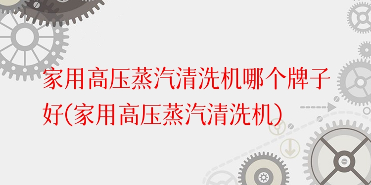 家用高压蒸汽清洗机哪个牌子好